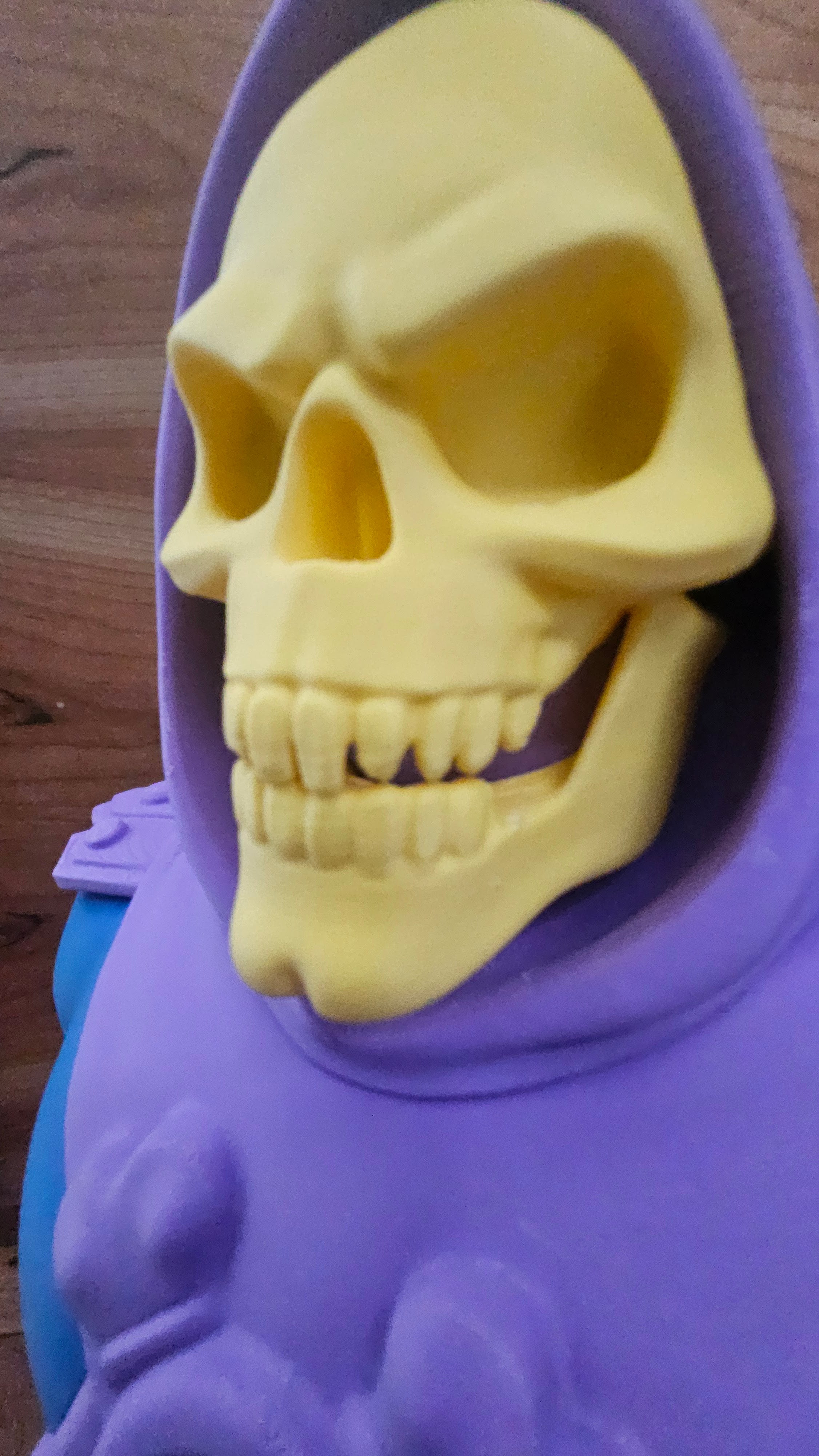 Skeletor Bust