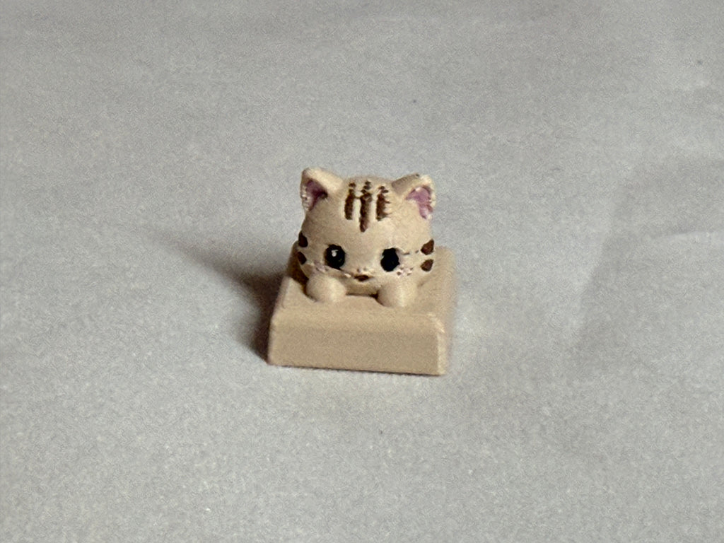 Click Lab Hero Cap - Cat