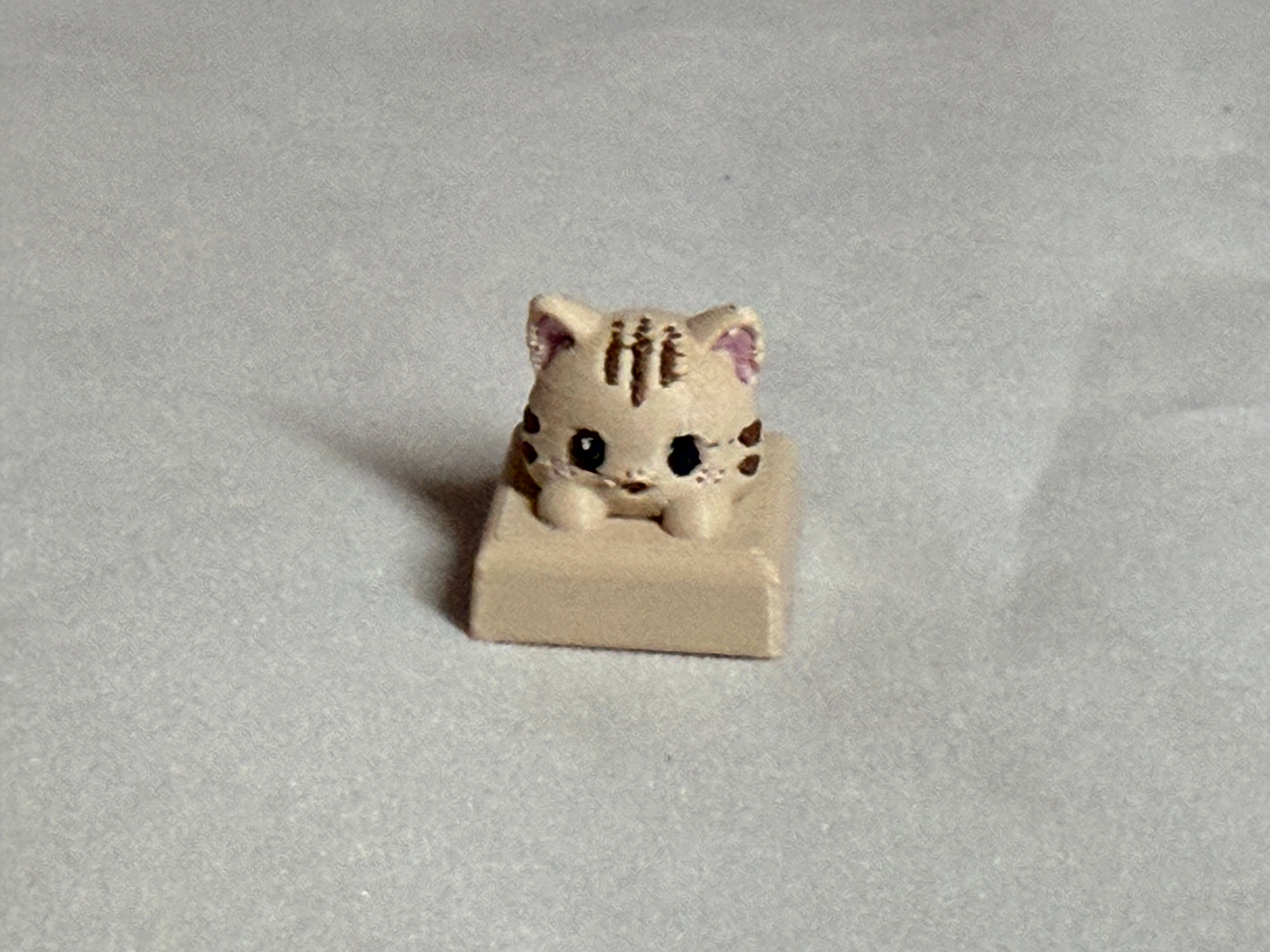 Click Lab Hero Cap - Cat